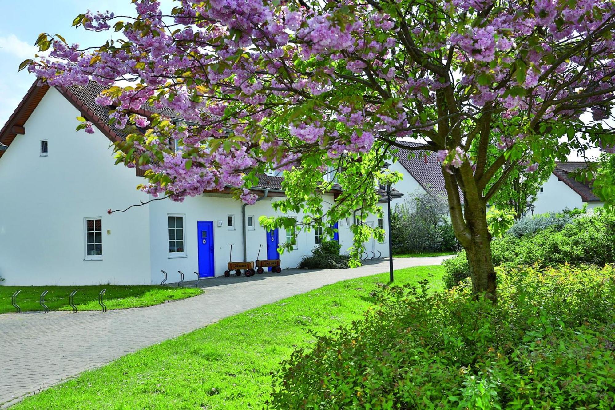 Feriendorf Rerik Exterior foto